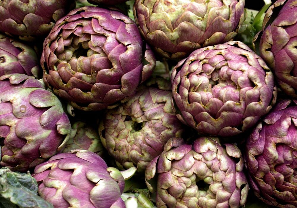 carciofi mazzo