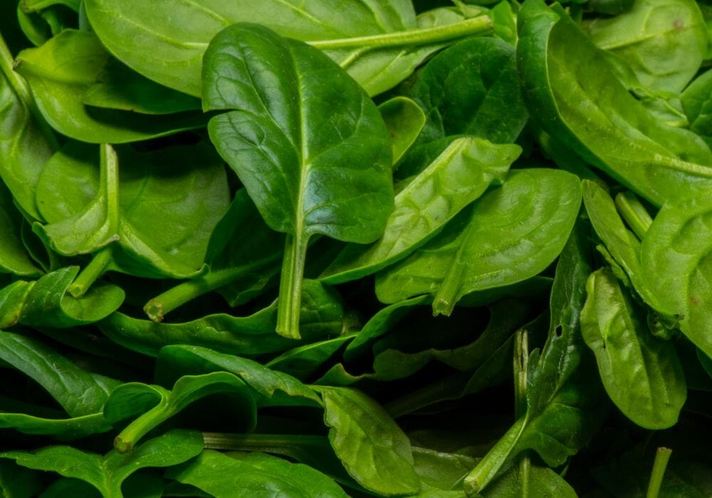 spinaci foglie